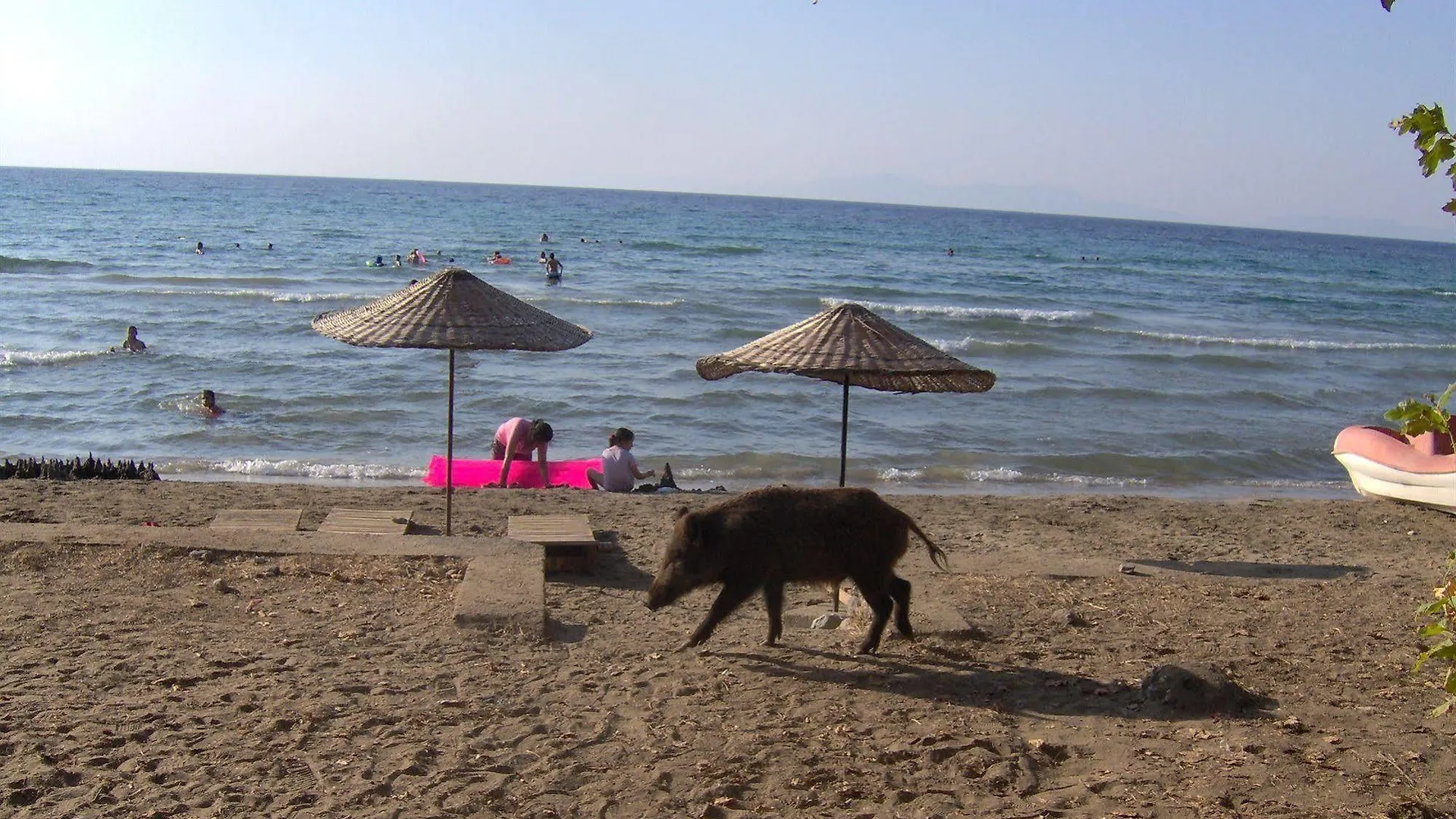 Panion Park Residence Kuşadası